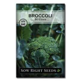 Sow Right Seeds - Di Cicco Broccoli Seeds for Planting - Non-GMO Heirloom Packet with Instructions to Plant an Outdoor Home Vegetable Garden - Great for Salads - Abundant Harvest (1)