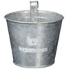 GREENHOUSE French Silver Tin with Hooks, Medium 3396-A