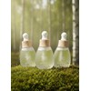 Guyrang Solve All Skin Problems Ampoule 30ml (3 pieces) EGF