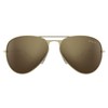 BEX Wesley Polarized Sunglasses (Gold/Gold)