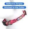 Pawtitas Reflective Dog Collar with Stitching Reflective Thread | Reflective