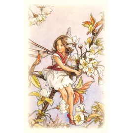 Flower Fairy Postcard: Wild Cherry Blossom Fairy in Pretty Dress w/ Ribbon