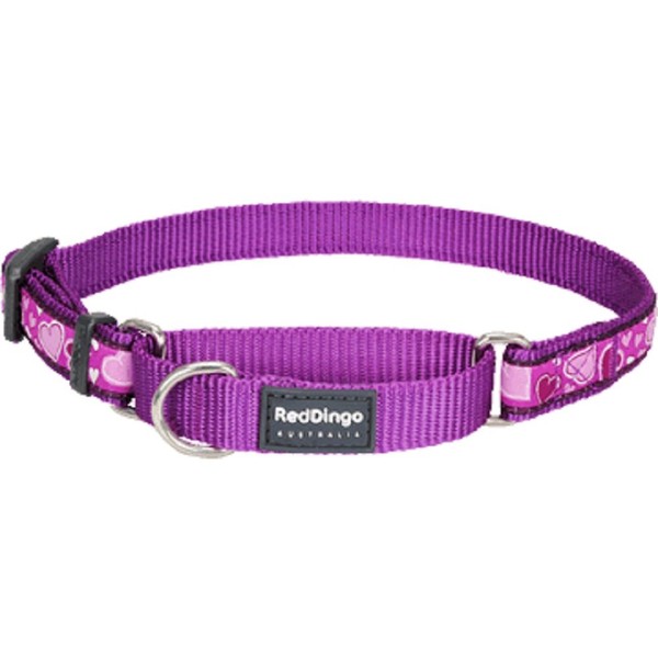 Red Dingo Designer Martingale Dog Collar, Small, Breezy Love Purple