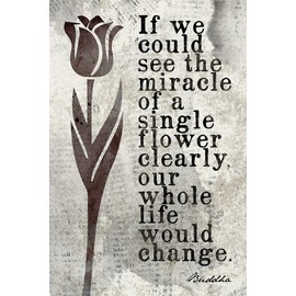 If We Could See The Miracle Of A Single Flower (Buddha Quote), mindfulness meditation poster print