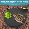 aleawol 3Pack Tortoise Slate Pad, Large Rectangular Reptile Basking Platform