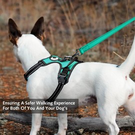 Padded Handle Dog Leash Double Sided Reflective Nylon Leash Training Leash for Small Medium Dogs