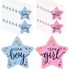 Crovakeu 100 Pcs 5cm/2Inch Team Girl Team Boy Stickers, Gender
