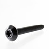Sea-Doo New OEM Body Torx Screw M6 X 50, 250000827