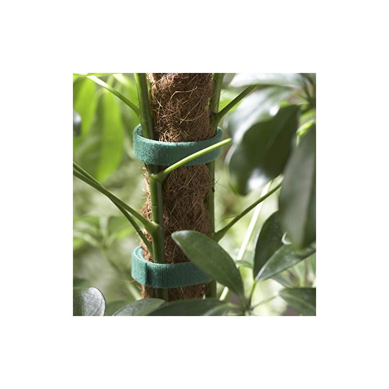 Connex FLOR78655 Plant Binder with Velcro, Multicolour, 7.5 m