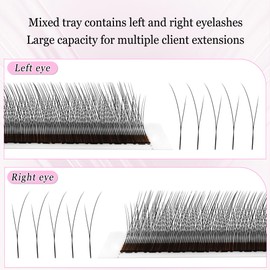 CoMango Cat Eye Lashes Extension Fox EyeLashes Extension 2D Fans YY Shaped Wispy Lashes Mink Premade Lash Fans C/D Curly Natural Fluffy Handmade Individual Eyelash Fans(Black,2D-LC-mix8-13mm)