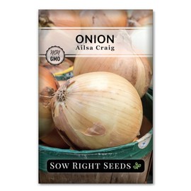 Sow Right Seeds - Ailsa Craig Onion Seeds for Planting - Non-GMO Heirloom Packet with Instructions to Plant an Outdoor Vegetable Garden - Globe Shaped Yellow Root - Mild & Sweet, Cold Tolerant (1)