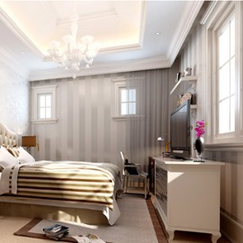 Q QIHANG DAWEI Vertical Stripes Non-Woven Wallpaper Roll for Living Room Silver&Gray Color 1.73'W x 32.8'L