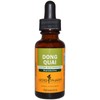 Herb Pharm Dong Quai Extract - 1 fl oz