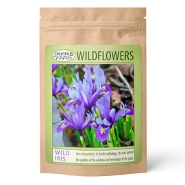 Wild Iris (Iris missouriensis) Seeds | 400+ Non-GMO Wildflower Seeds for Pollinators, Perennial Flowers for Meadows, Gardens