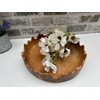 28cm Fruit Nuts Bowl Serving Dish Driftwood Wooden Teak Root