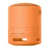 Sony SRS-XB100 Wireless Bluetooth Portable Lightweight Travel Speaker (Orange) with