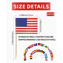 JEXOWIQ Pack of 100 Toothpicks, Cocktail Flags, World Flags Flags, Small Toothpicks for Eurovision, Olympic Cupcake Toppers, Toothpicks, Party Decoration, Pub Decoration, Suitable for Cakes,