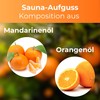 Sauna Infusion Sauna Infusion Steam Bath Concentrate Mandarin Orange Composition