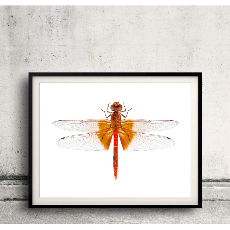 Auhagen H0 Mauerziegel