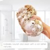Naroa Esponja de mar natural para baño, esponja exfoliante corporal