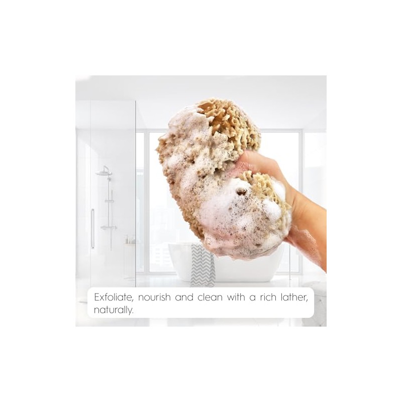 Naroa Esponja de mar natural para baño, esponja exfoliante corporal
