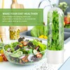 Giyochie Fresh Herb Saver Cilantro Storage Containers for Refrigerator, Transparent