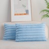 DEELAND Pack of 2,Double-Sided Faux Fur Plush Decorative Throw Pillow