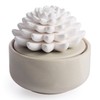 Airomé White Succulent, Porcelain Passive Essential Oil Diffuser (with 15ml