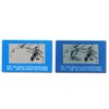 MinnowXY Polarised Sunglasses Lens Shades Glasses Tester Testing Card Check