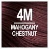 Naturtint 4M Mahogany Chestnut Permanent Hair Color (Pack of 1),