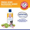 Arm & Hammer for Pets Super Deodorizing Shampoo for Dogs