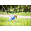 LittleLife Children's Animal Backpack, For Ages 3 to 6 years