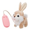 RC Bunny Roppy