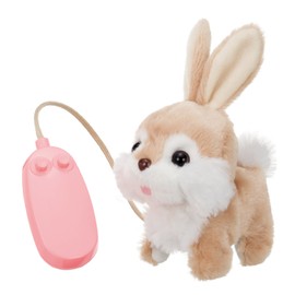RC Bunny Roppy