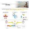 Pantalla Solar Facial Mineral Ulmar Fps50 Uva/uvb/hevl 50ml