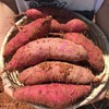 해남 세척 고구마 3kg (특상) Haenam Clean Sweet Potatoes 3kg (Special Grade)