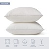 Leeden 18 x 18 Pillow Inserts (Set of 2) -