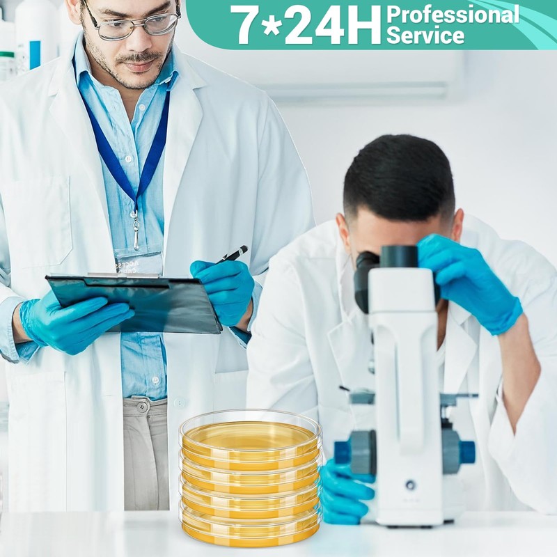 Mold Test Kit for Home Detection: 8 Simple DIY Science
