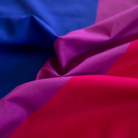 Bandana Bisexual Bi Pride