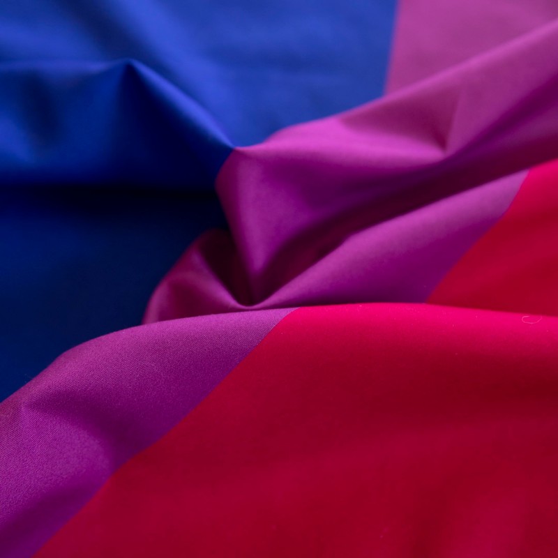 Bandana Bisexual Bi Pride