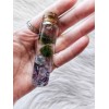Marimo Moss Balls In Glass Jar - Live - Plant