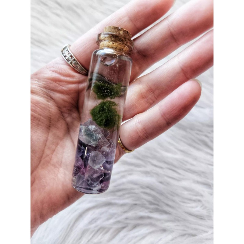 Marimo Moss Balls In Glass Jar - Live - Plant