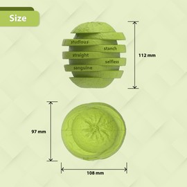 PetBuds Indestructible Dog Toys - Interactive Dog Toys For Boredom - Orange Shape Treat Dispenser Dog Toy and Chew Toys For Dogs - 2 in 1 Dog Treat Toy and Dog Chew Toys. (Parrot Green, Oranges)