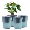 Oliz Self Watering Planter 4-Pack, 6 Inch Plastic Flower Pots