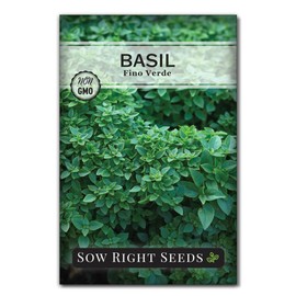 Sow Right Seeds - Fino Verde Basil Seed for Planting - Non-GMO Heirloom Packet with Instructions for Easy Planting and Growing a Kitchen Herb Garden - Indoors & Outdoor - Sweet Dwarf Basil (1)