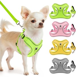 Dog Harness and Leash Set,4 Point Adjustable Reflective Dog Vest Harness,No Pull Harness-Leash for Small Medium Large Sized Dogs Puppy,XS-Green