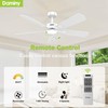 DAMINY 52 inch Ceiling Fan with Light,6CCT,5 Blade,Low Profile Ceiling