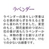 かたりべ 桐箱 ラベンダー・白梅 サック6入