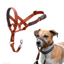 HALTI Headcollar - To Stop Your Dog Pulling on the Lead. Adjustable, Reflective and Lightweight, with Padded Nose Band. Dog Training Anti-Pull Collar for Small Dogs (Size 1, Burnt Orange)
