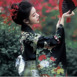 Lady Lazy Showa Retro Kimono, Flowers, Butterfly, Kimono, Cosplay, Long, Black, Obi, Fan, Set of 4